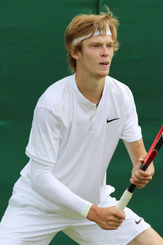 临职业生涯 临职业生涯